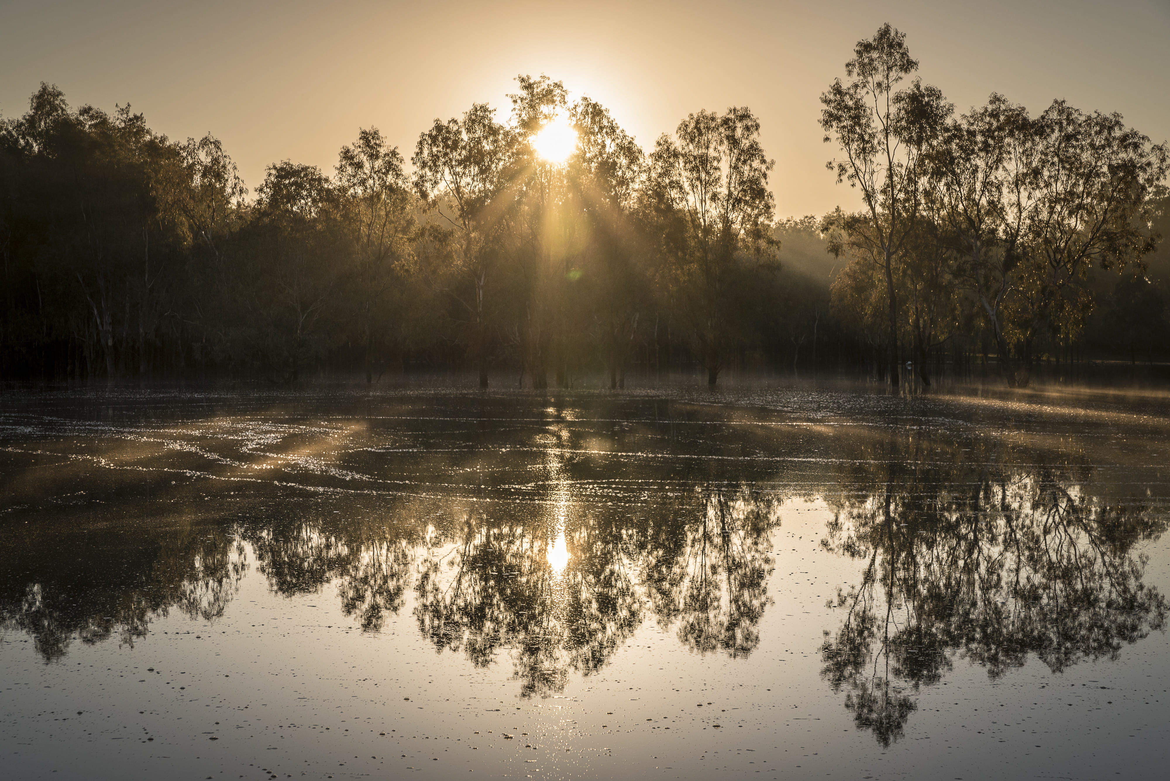 Wetland, Hattah Kulkyne National Park