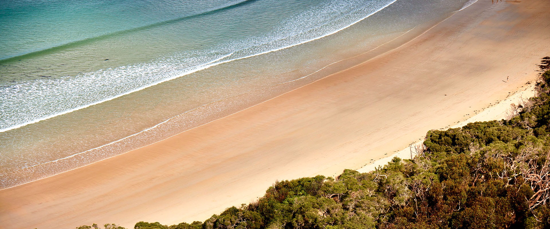 An aerial view of a turquoise waves and a white sandy beach. Bushland lines the edge of the beach. 
