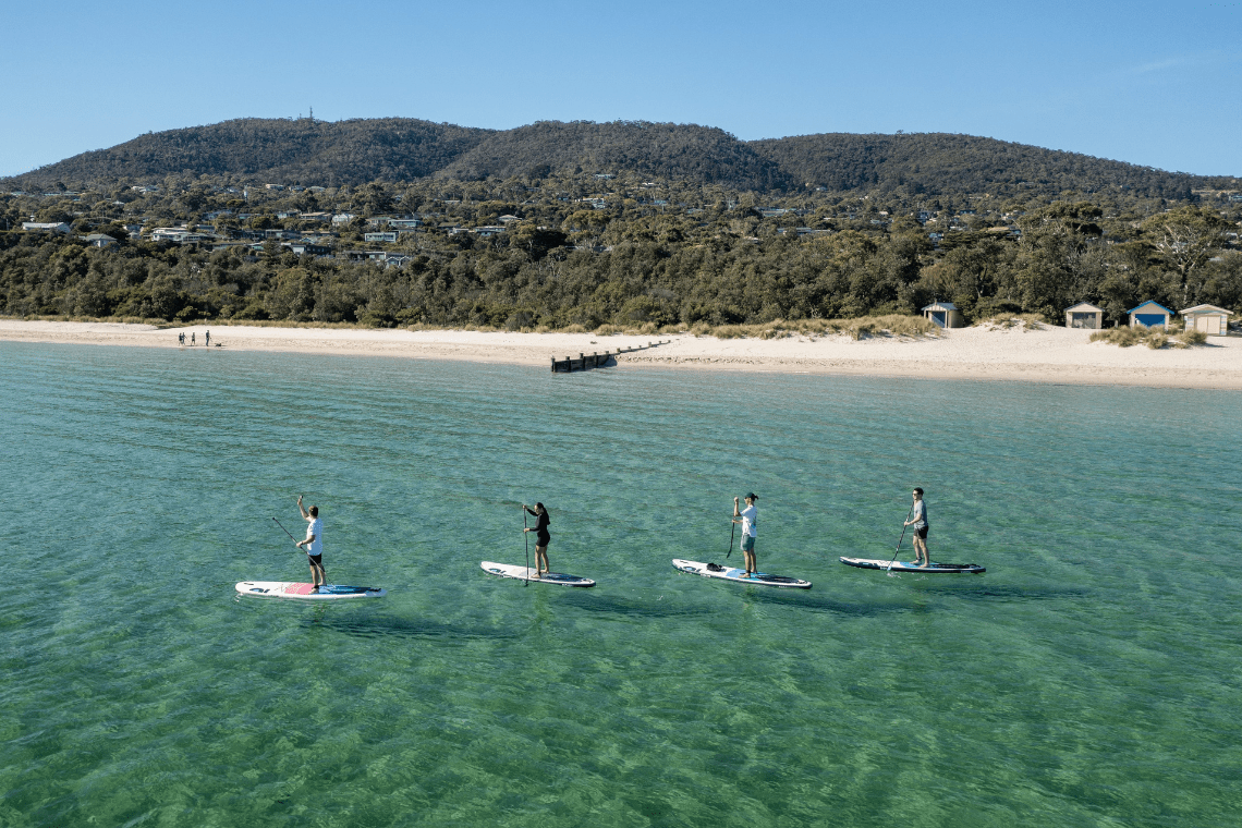 Four people stand-up paddleboarding on clear turquoise water near a sandy beach on the Mornington Peninsula, with beach huts, coastal vegetation, and rolling hills in the background.