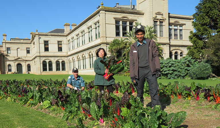 Two rangers in uniform and a volunteer pose with a silverbeet harvest in front of Werribee Mansion.