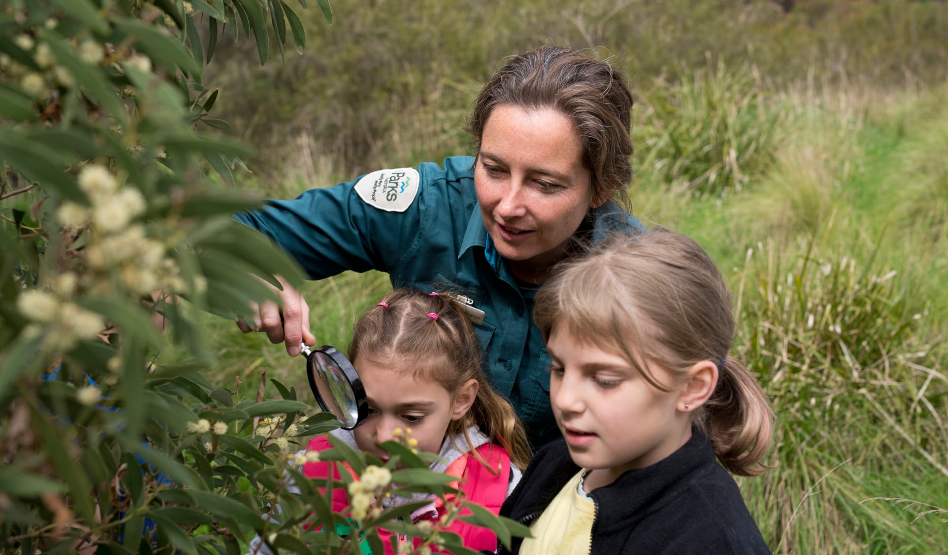 Park explorers kids learning in nature