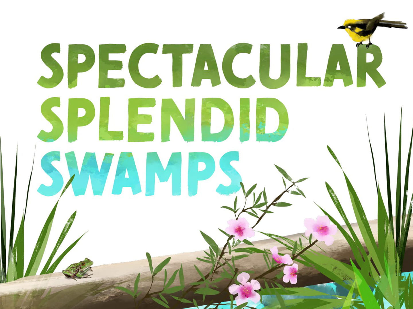 Illustrated image of a small bird and a swamp with the book title in the centre