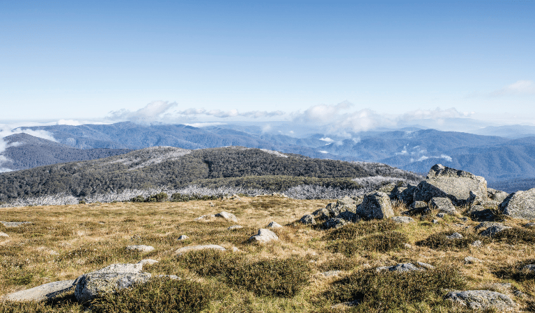 Mountain scenery with rocks and alpine grasses