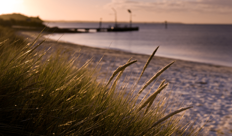 Sandy beach along a bay with a pier in the distance