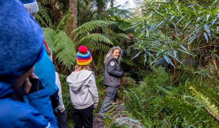 Ranger leading a bush walk in the Dandenong Ranges