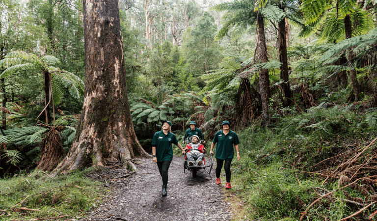 Two Parks Victoria volunteers carrying a trail rider and visitor along a rainforest gravel path
