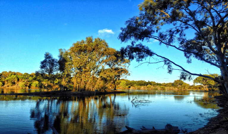 Serendip lake reflecting trees and afternoon sky