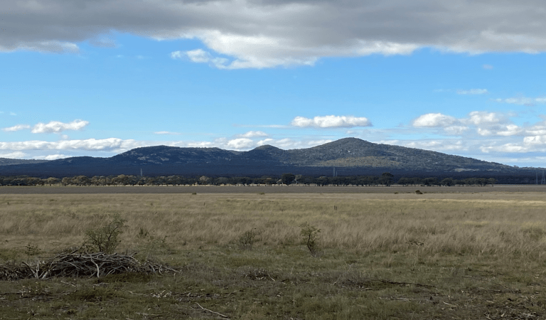 Grasslands in front the You Yangs mountains.