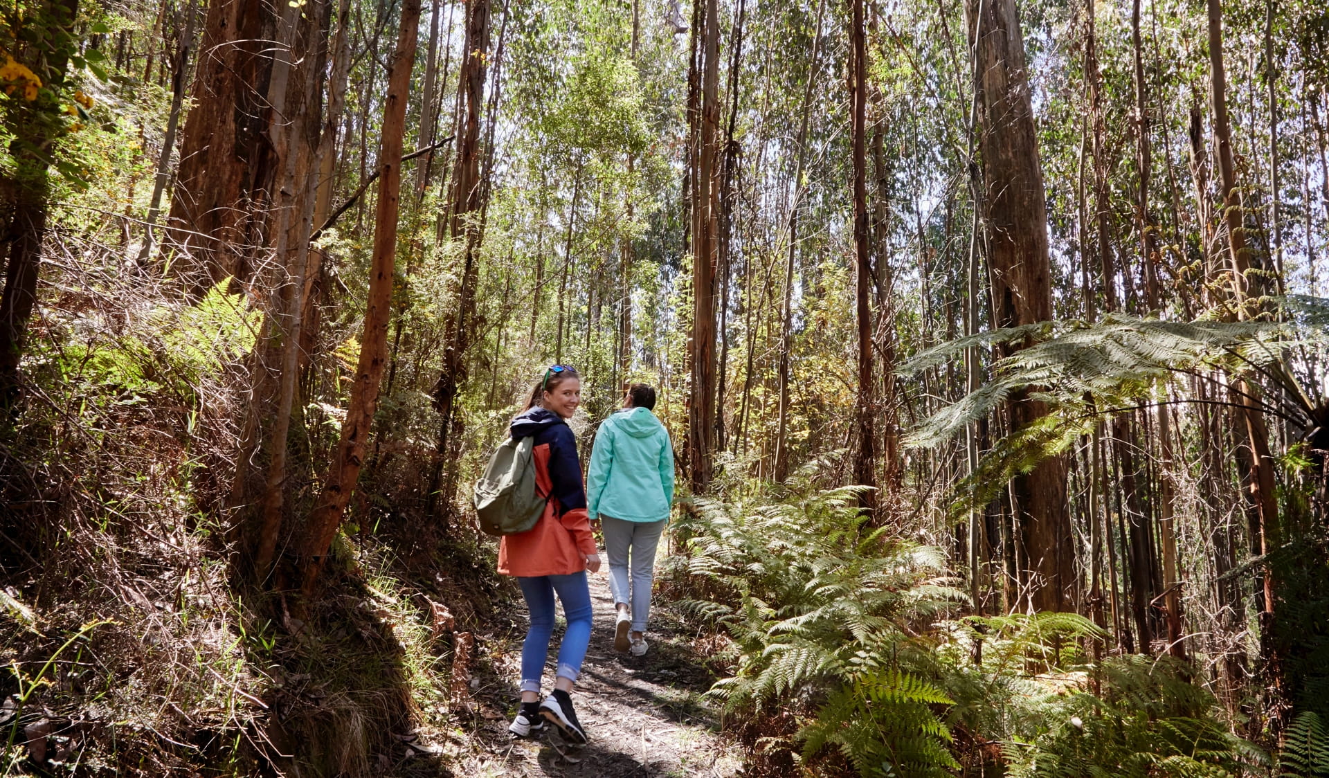 Two people take a mindfulness walk in Kinglake National Park. 