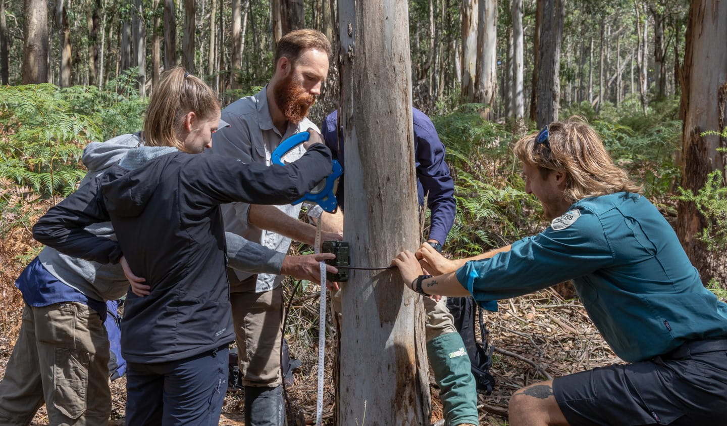 Volunteer Rspb Volunteering