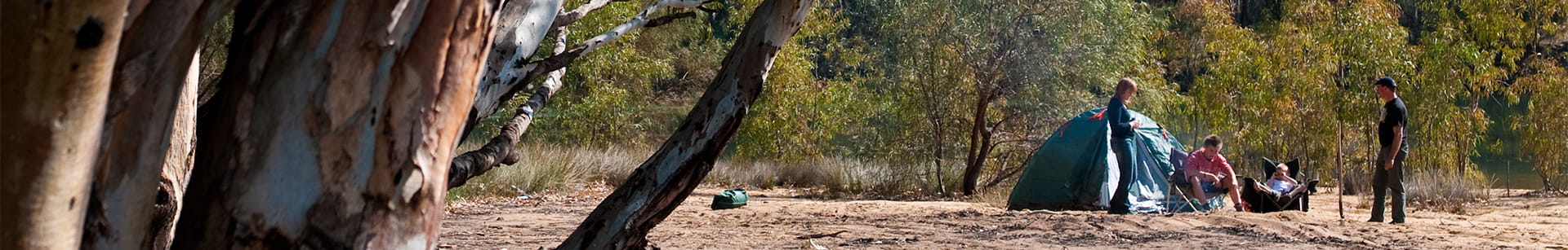 A tree in the foreground, with a family camping with their tent and equipment in the background.