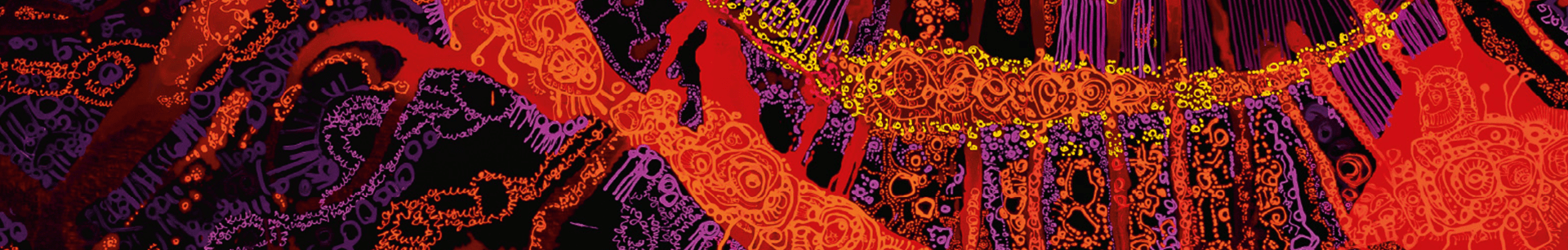 NAIDOC week banner 2026. The theme is 50 Years Deadly. 