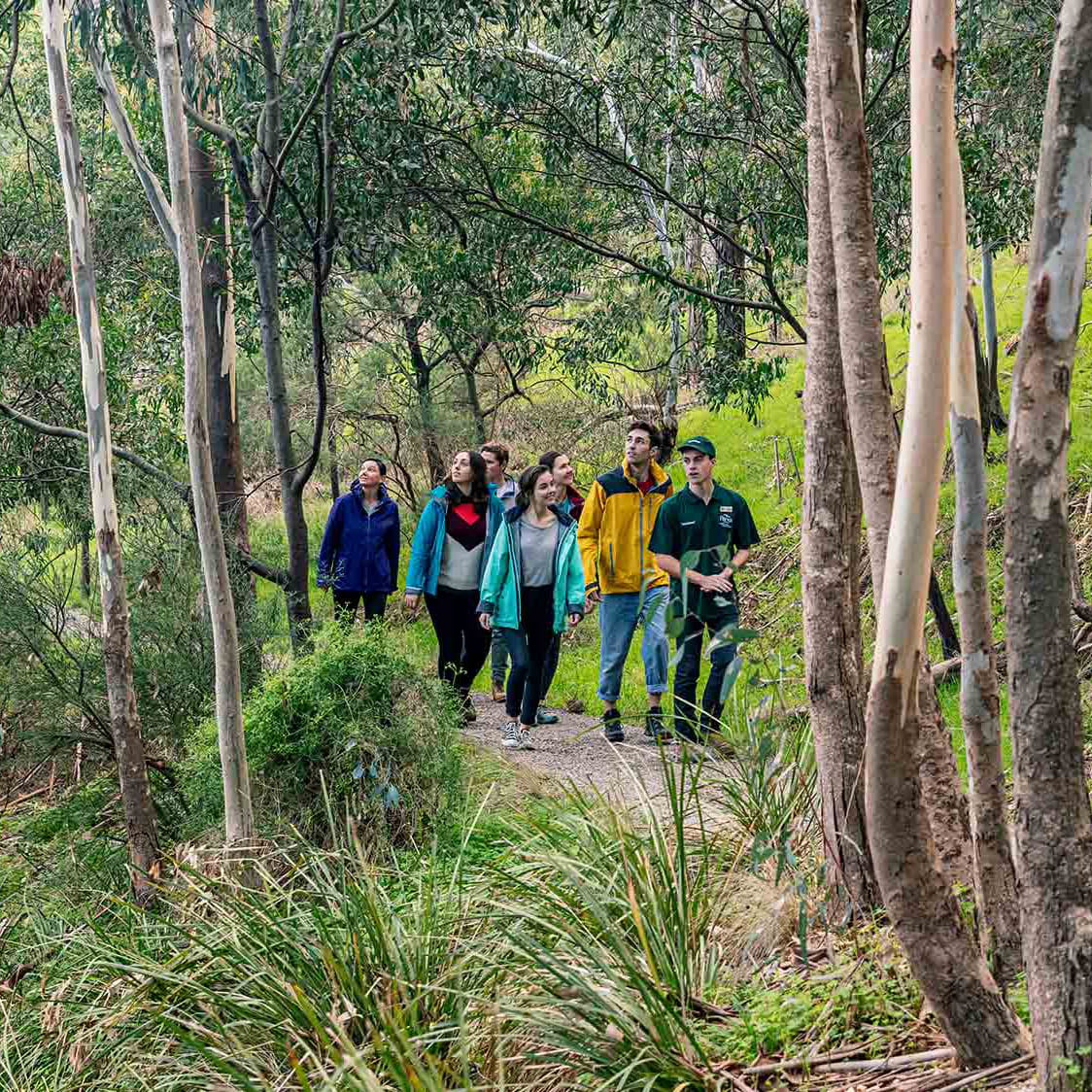 A group of people walking along a path through the forest with a volunteer guide.