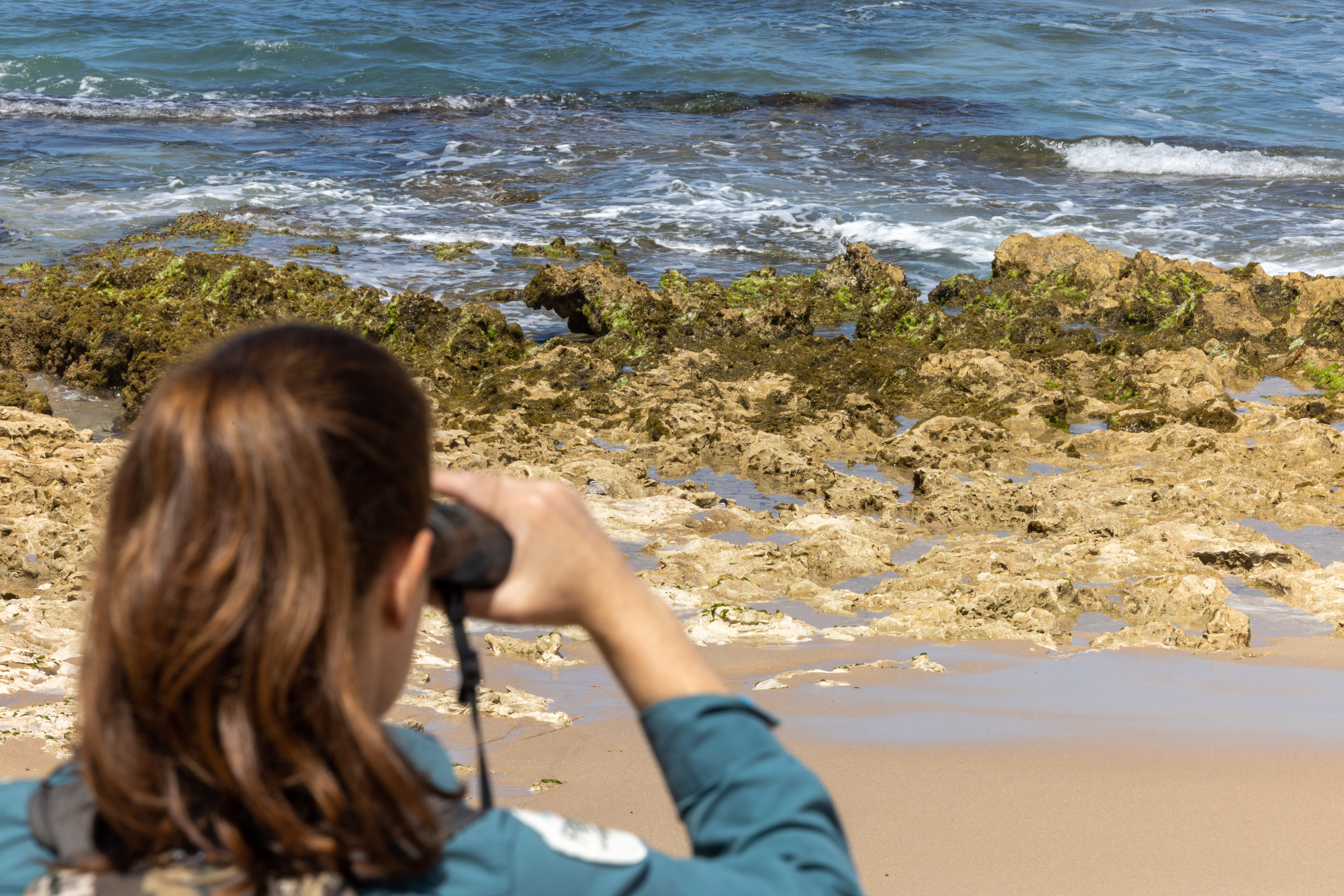 Ranger at work monitoring ocean species