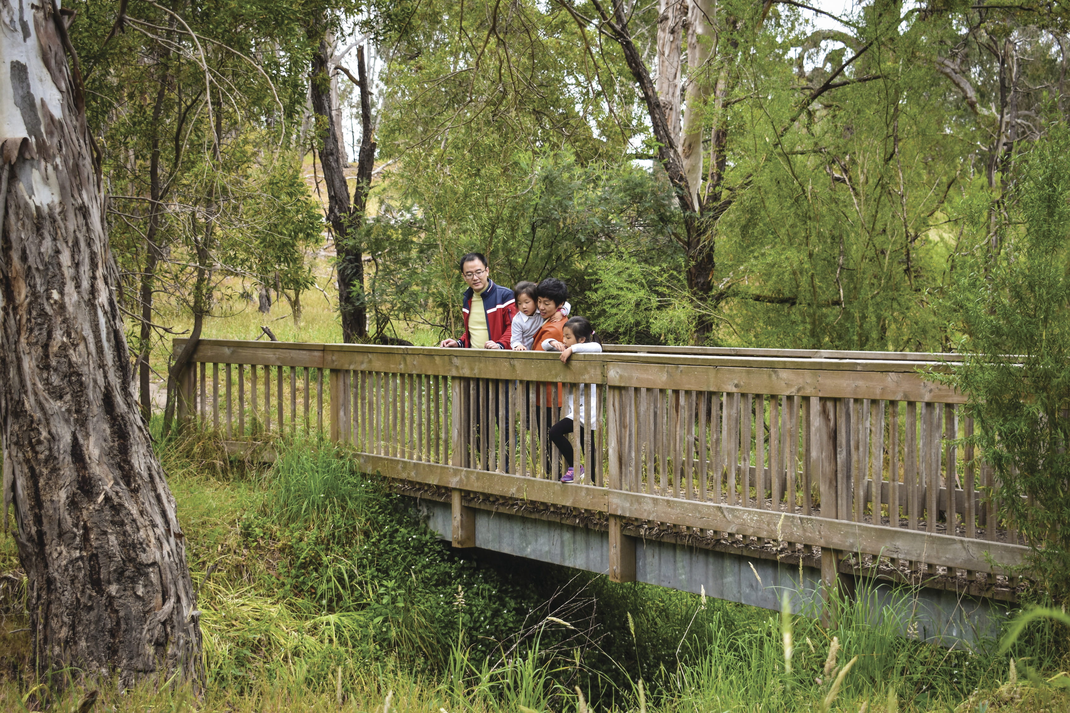 Family on a bridge at Westerfolds Park