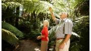 A man and a woman stop to admire a fern.