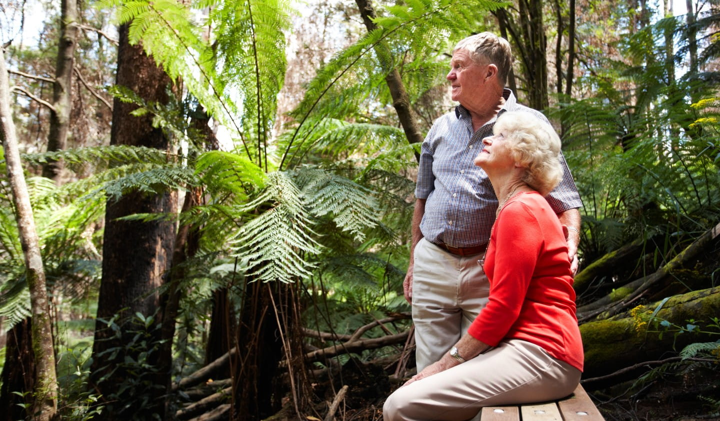 Two senior citizens enjoying nature