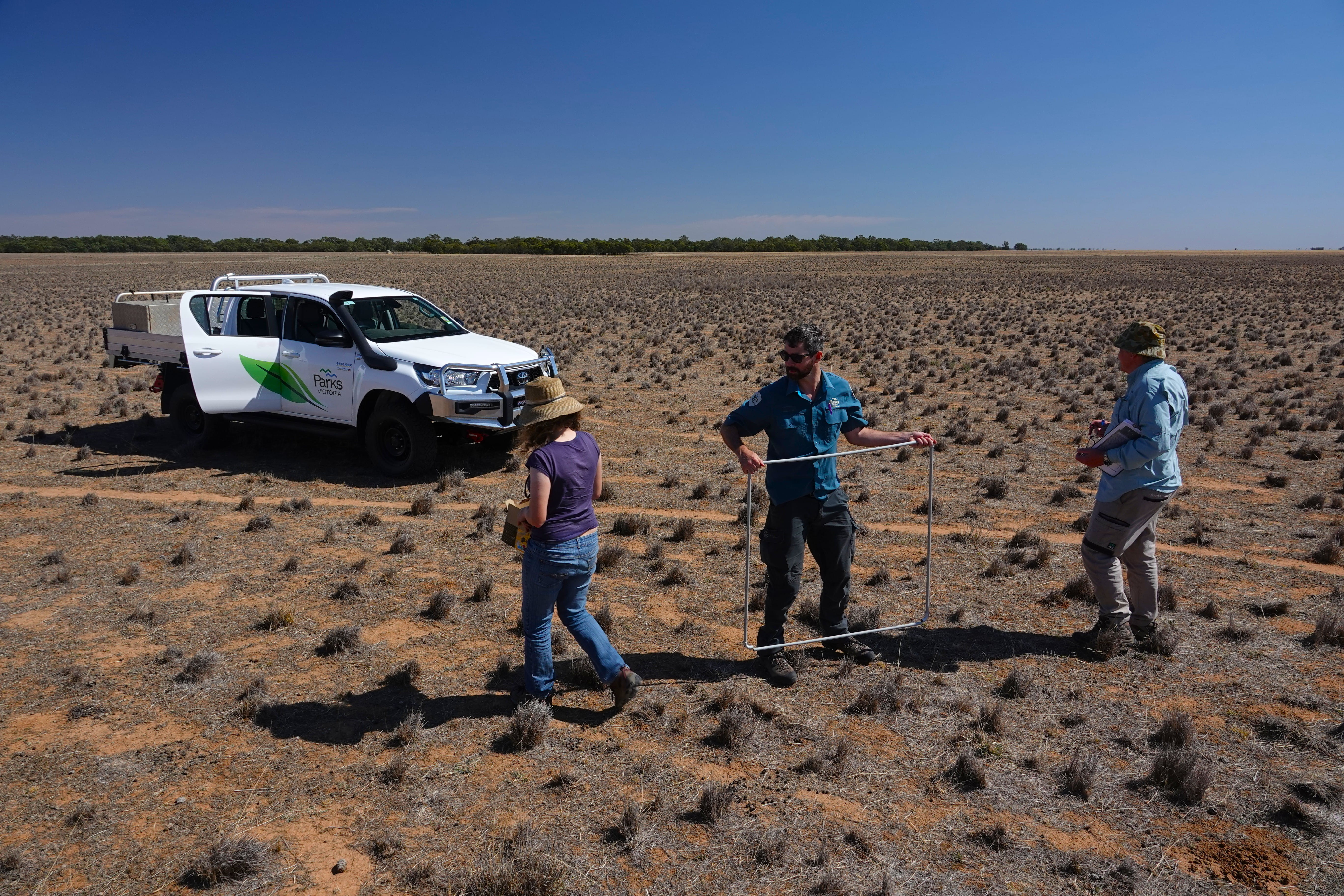3 people and a Parks Victoria vehicle in grasslands