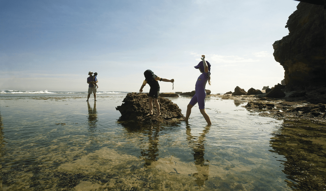 Kids rockpooling in Mornington Peninsula National Park