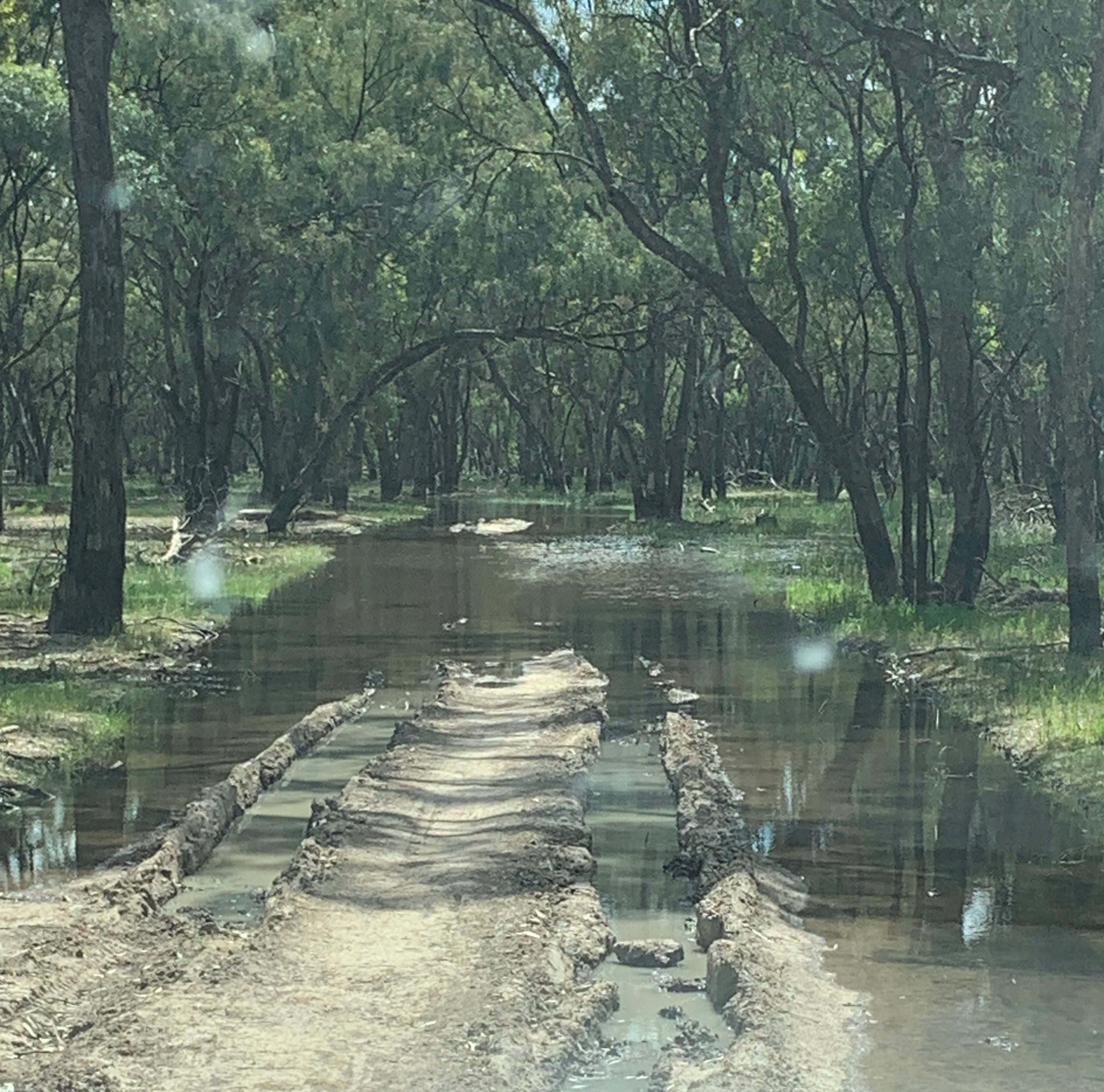 Large ruts in soil caused by illegal driving through fire management tracks at Gunbower National Park