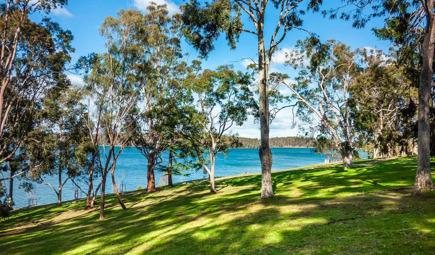 The shady shoreline of Yan Yean Reservoir.