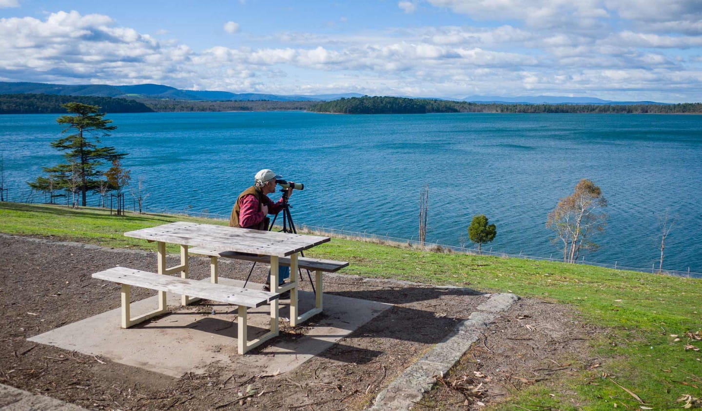 Yan Yean Reservoir is a great spot for a picnic.