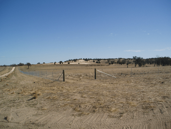 Pine Plains, Wyperfeld National Park photographed in 2015 with a mostly bare landscape, some shrubs scattered across the land