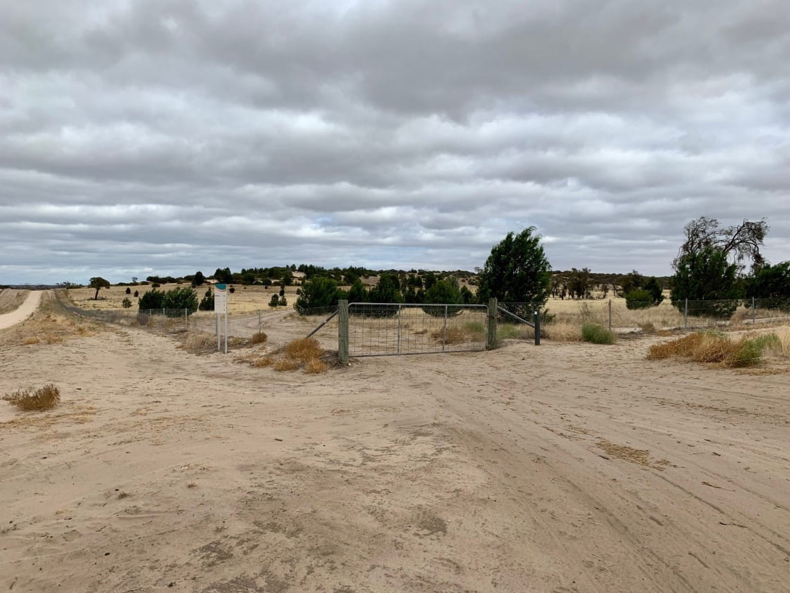 Pine Plains, Wyperfeld National Park photographed in 2015 with an abundance of shrubs and plants growing across the land