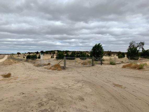 Pine Plains, Wyperfeld National Park photographed in 2015 with an abundance of shrubs and plants growing across the land