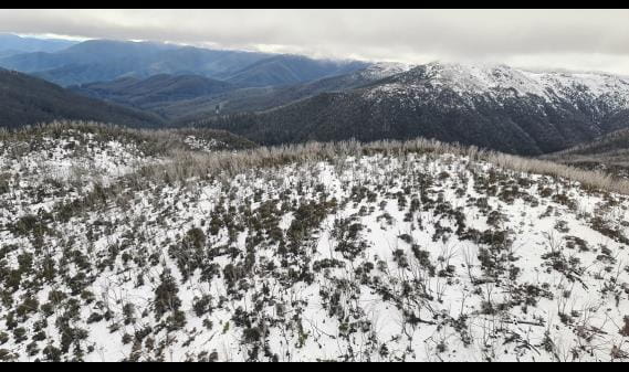 Rolling hills of the Victorian alps from the sky, blanketed in white snow