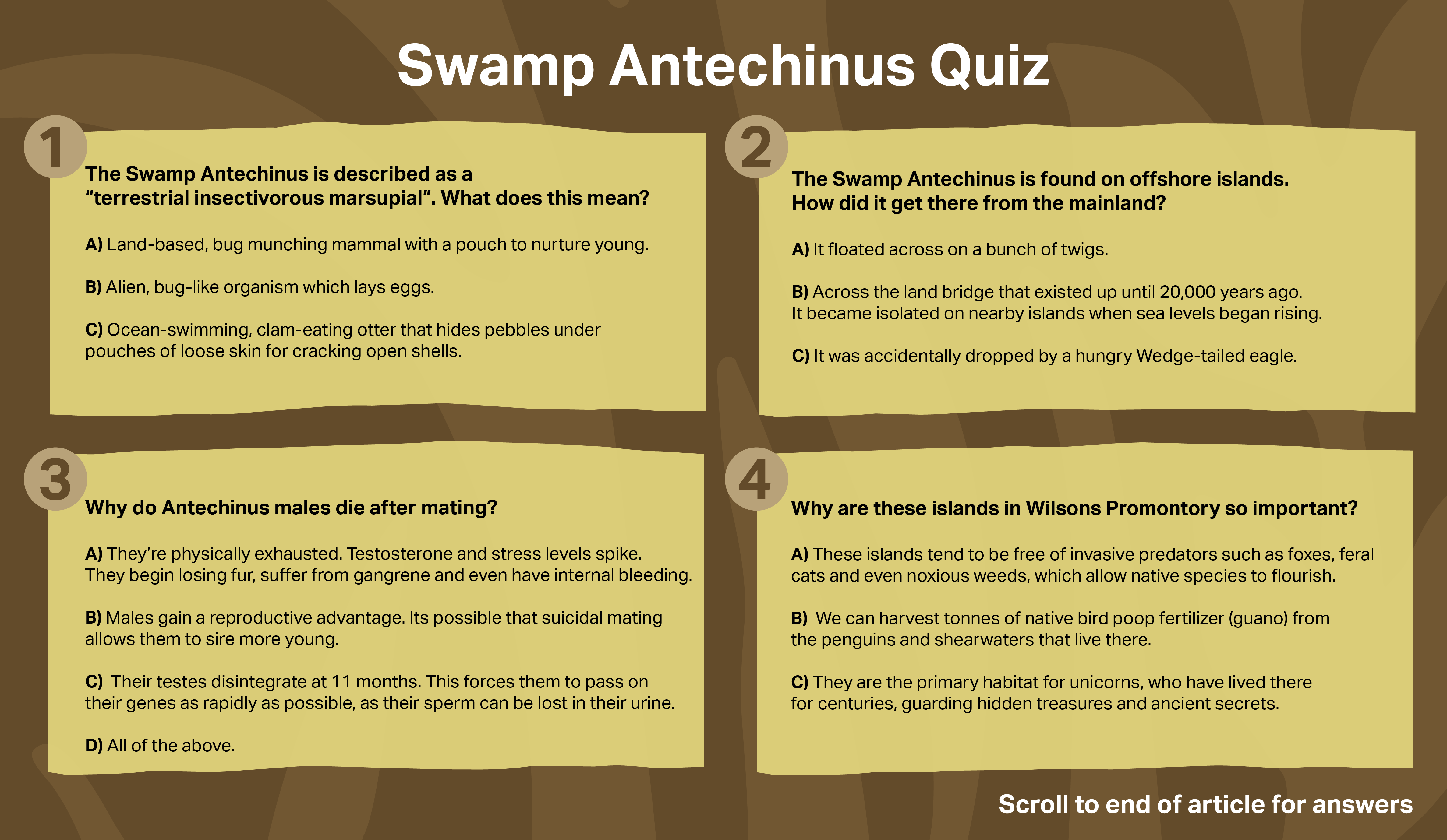 A four question quiz