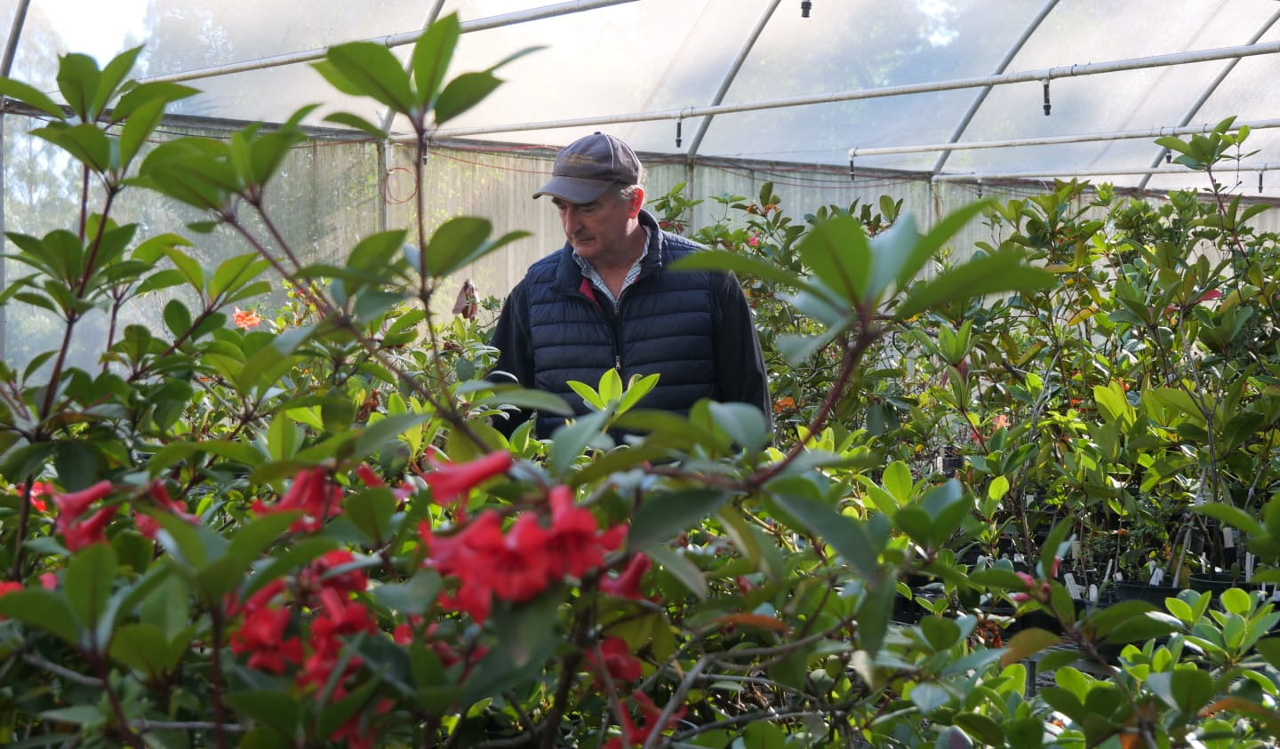 Andrew Rouse at Dandenong Ranges Botanic Garden