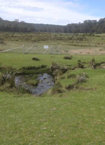 A small babbling stream with grasses and sedges on either side, is protected by a fence. 