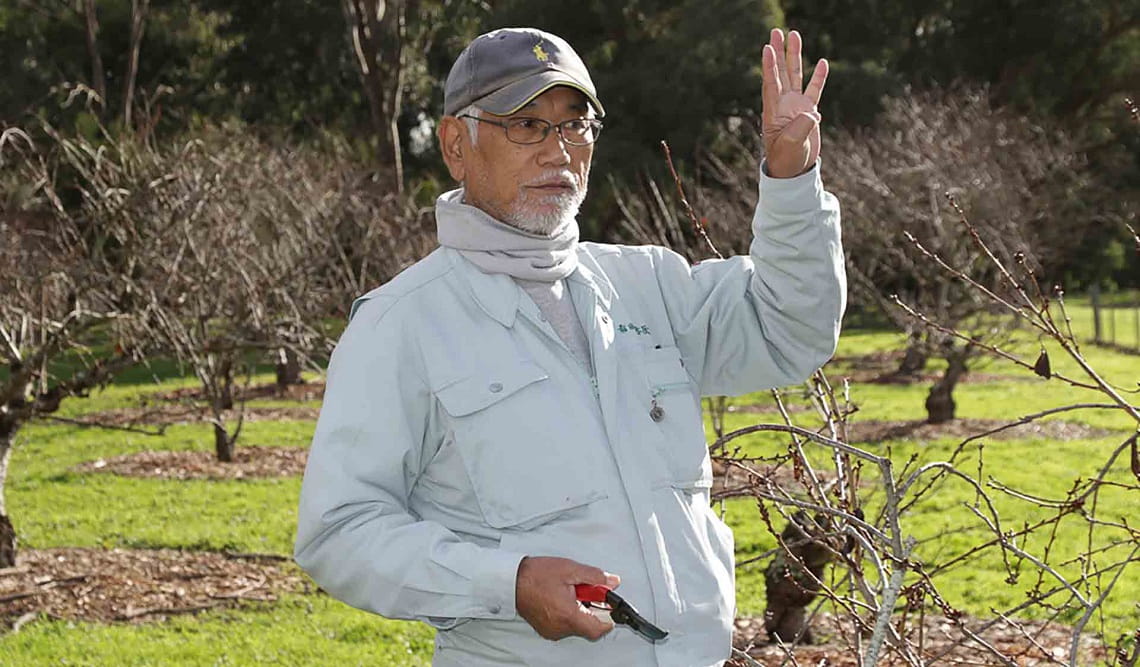 Kazumi Arita leads pruning workshop Banksia Park Cherry Grove