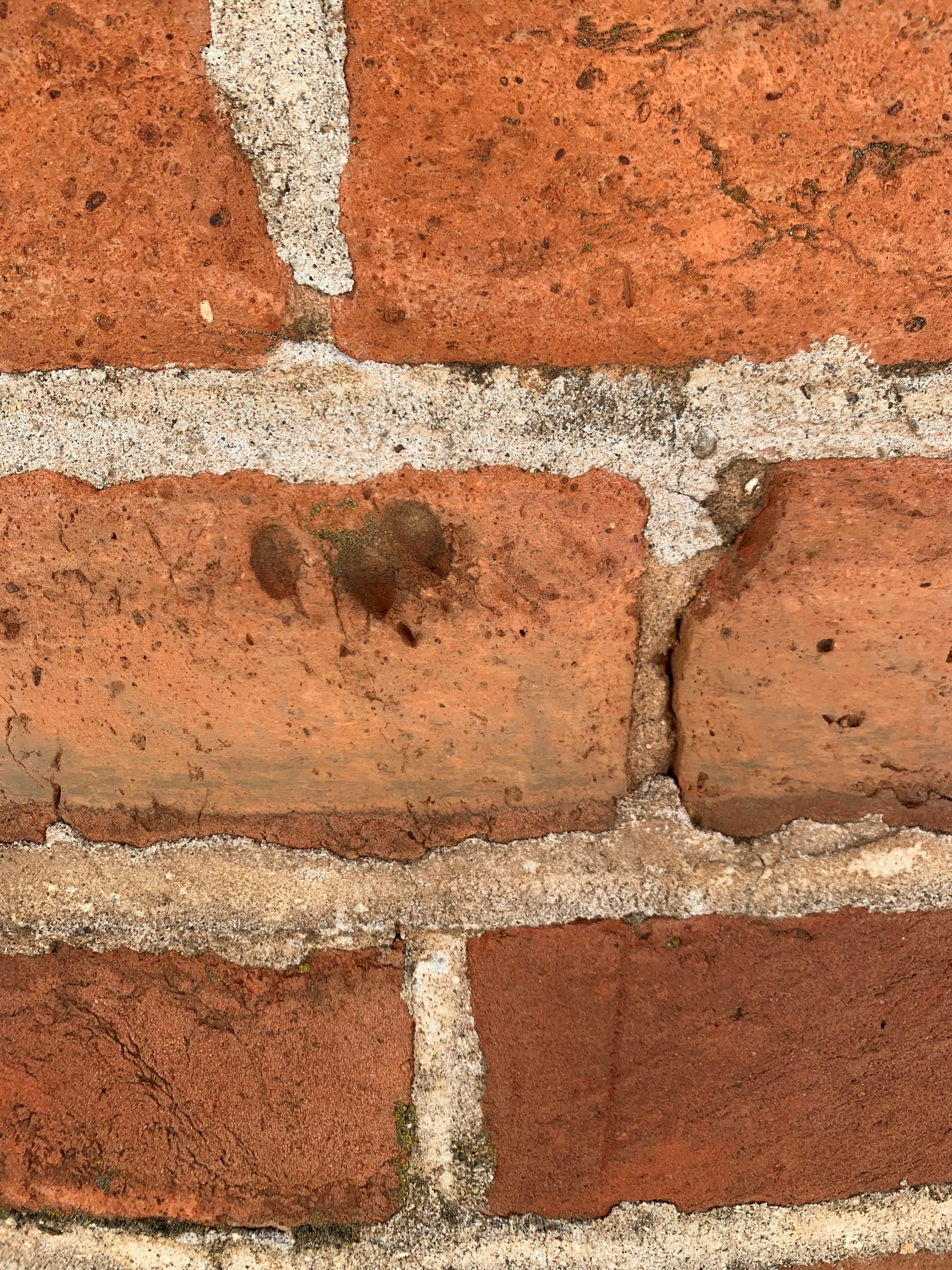 An old brick with part of a kitten's pawprint embedded in it
