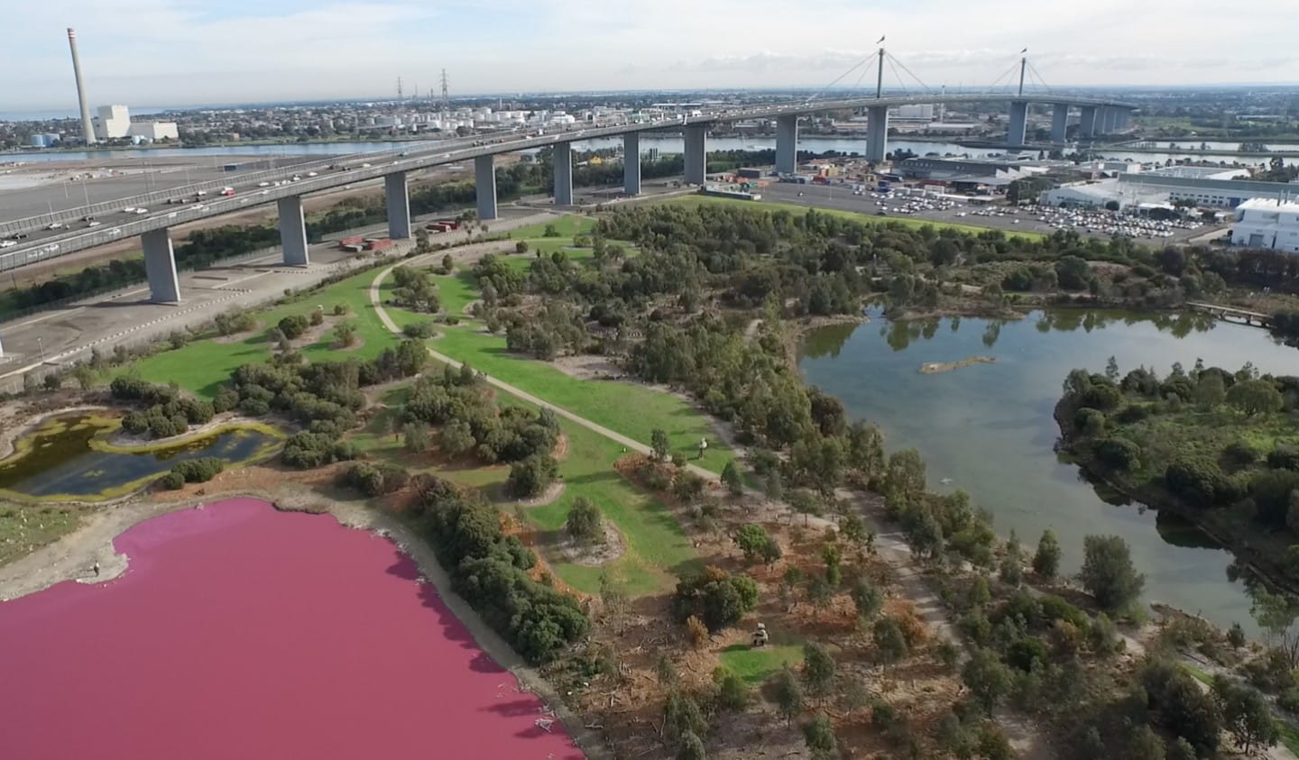 The salt lake in Westagte Park will turn bright pink when conditions are just right.