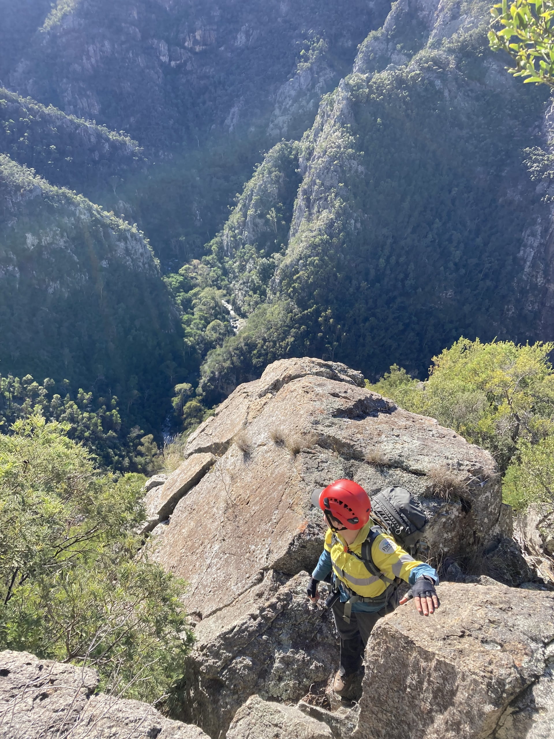 A  Brush-tailed Rock-wallaby is carried by a ranger down the sheer cliffs of Little River Gorge in the Snowy River National Park
