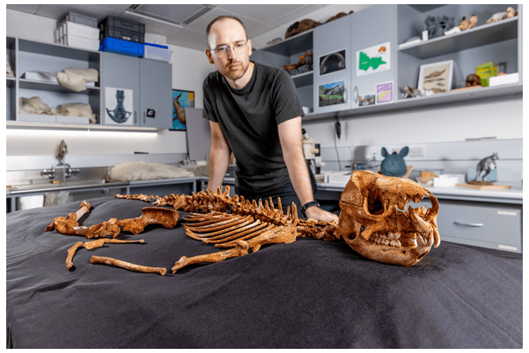 A skeleton laid on a table, with a man standing over it.