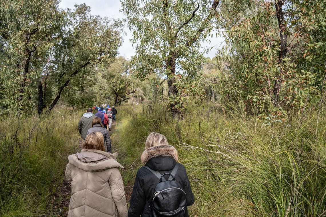 Volunteers strolling along Buttongrass Nature Walk, Credit: Parks Victoria