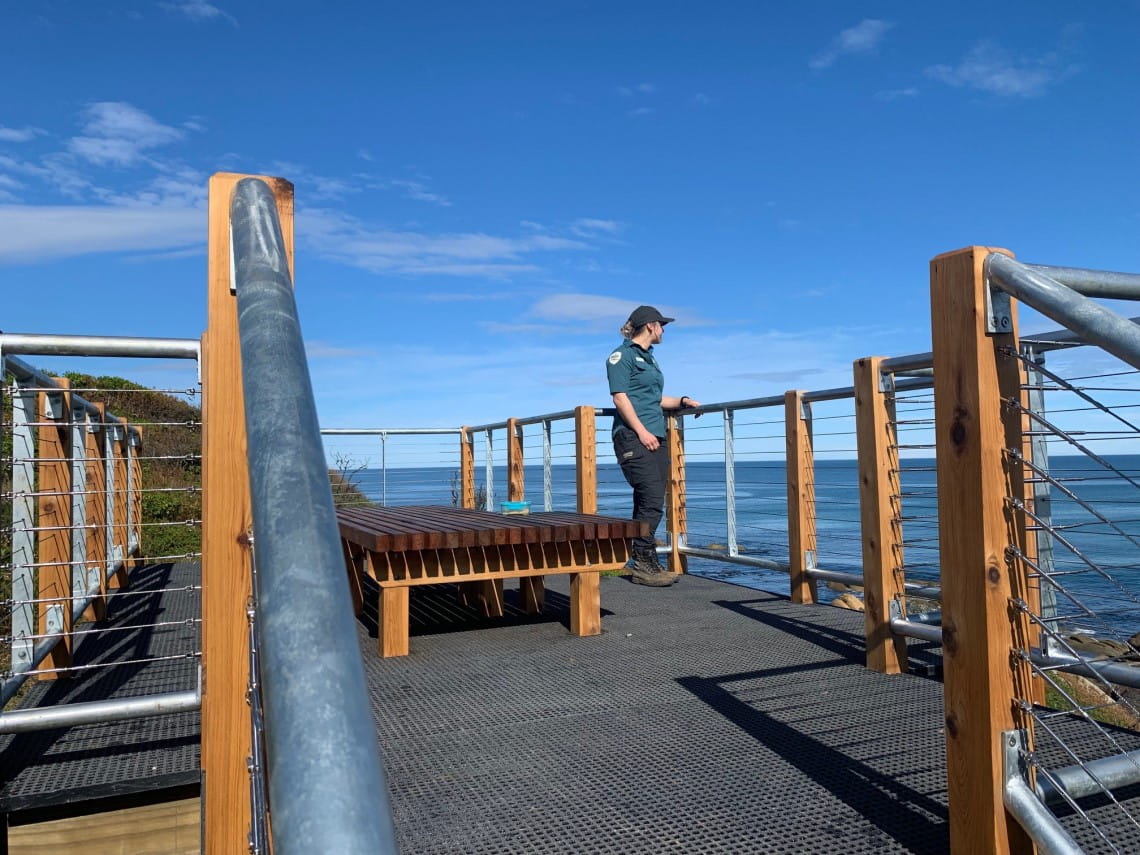 A woman stands at a railing, looking out over the sea