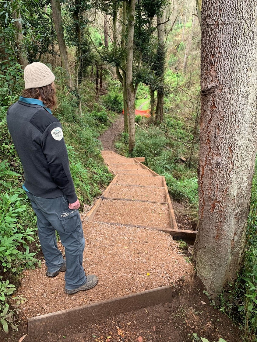 A person stands at the top of a set of steps leading down into a forest