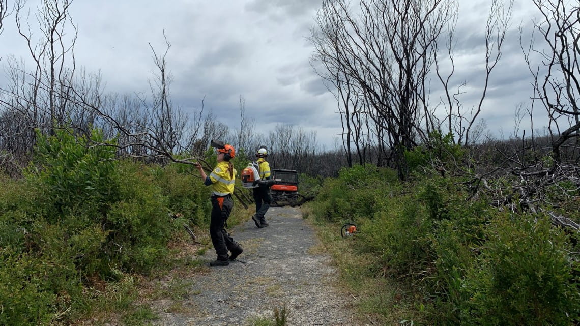 Two people with tree-trimming tools work on a path through burned trees
