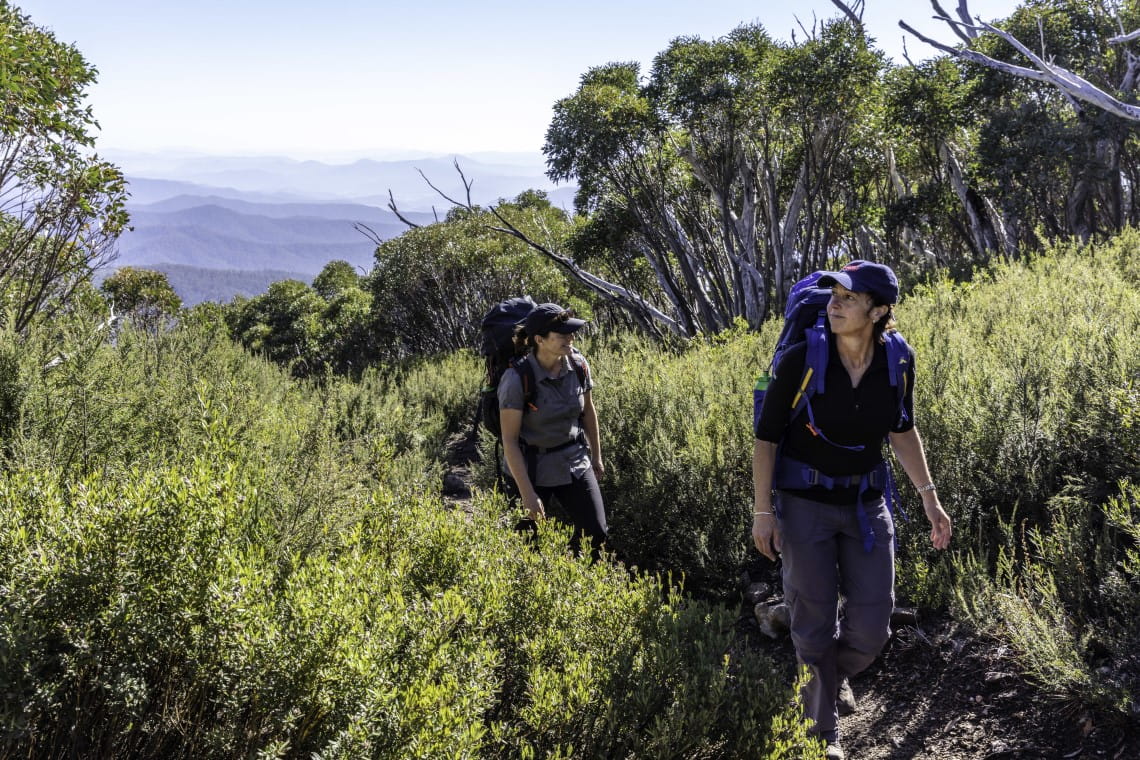 Pair looking at surrounding nature while walking through trail 