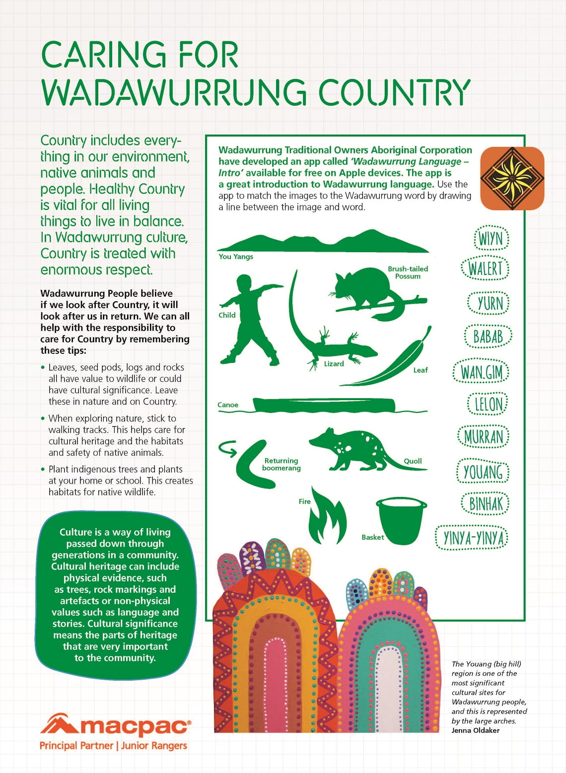 Connect to Country Wadawurrung Junior Ranger Activity Booklet page 4