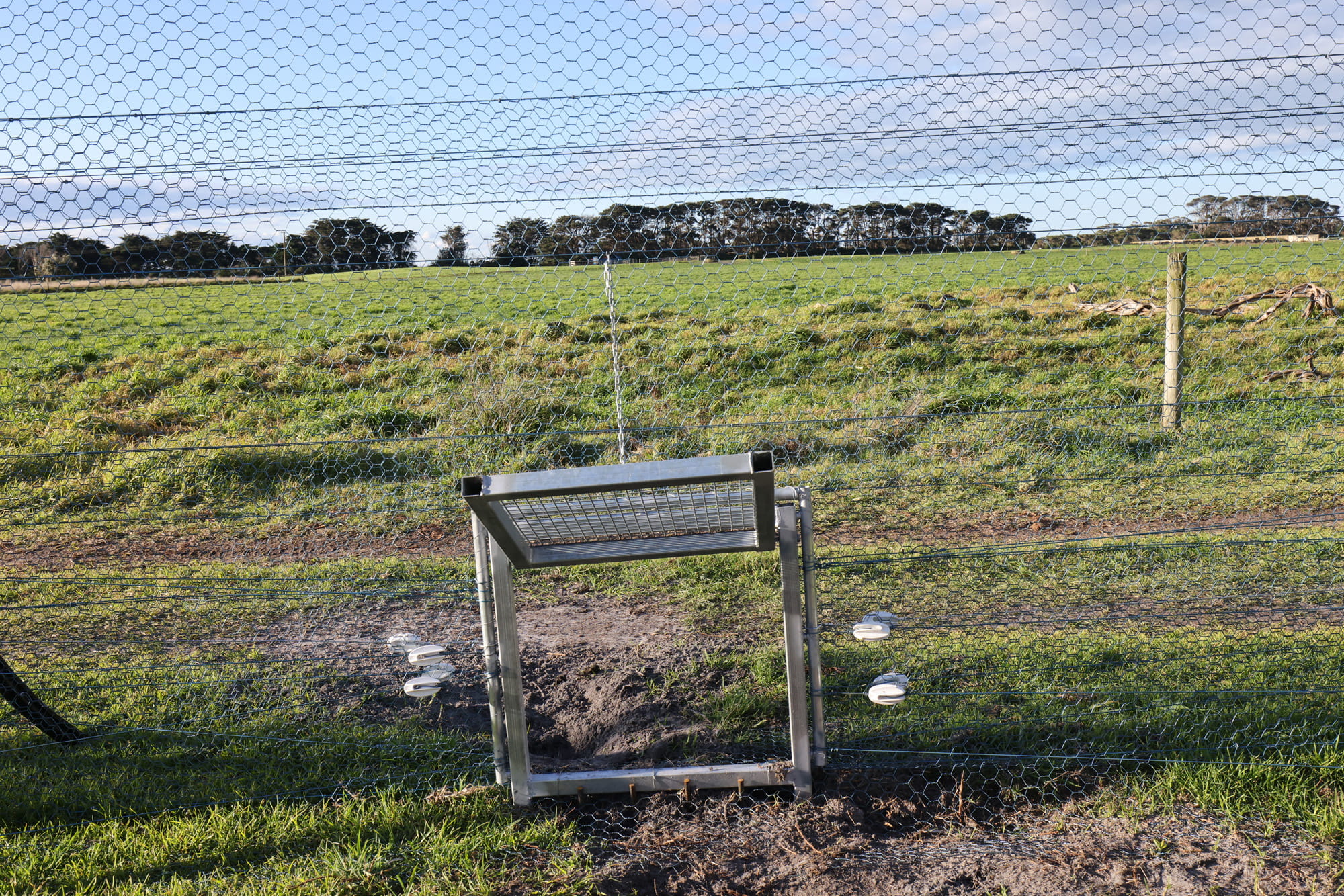 Wombat gate