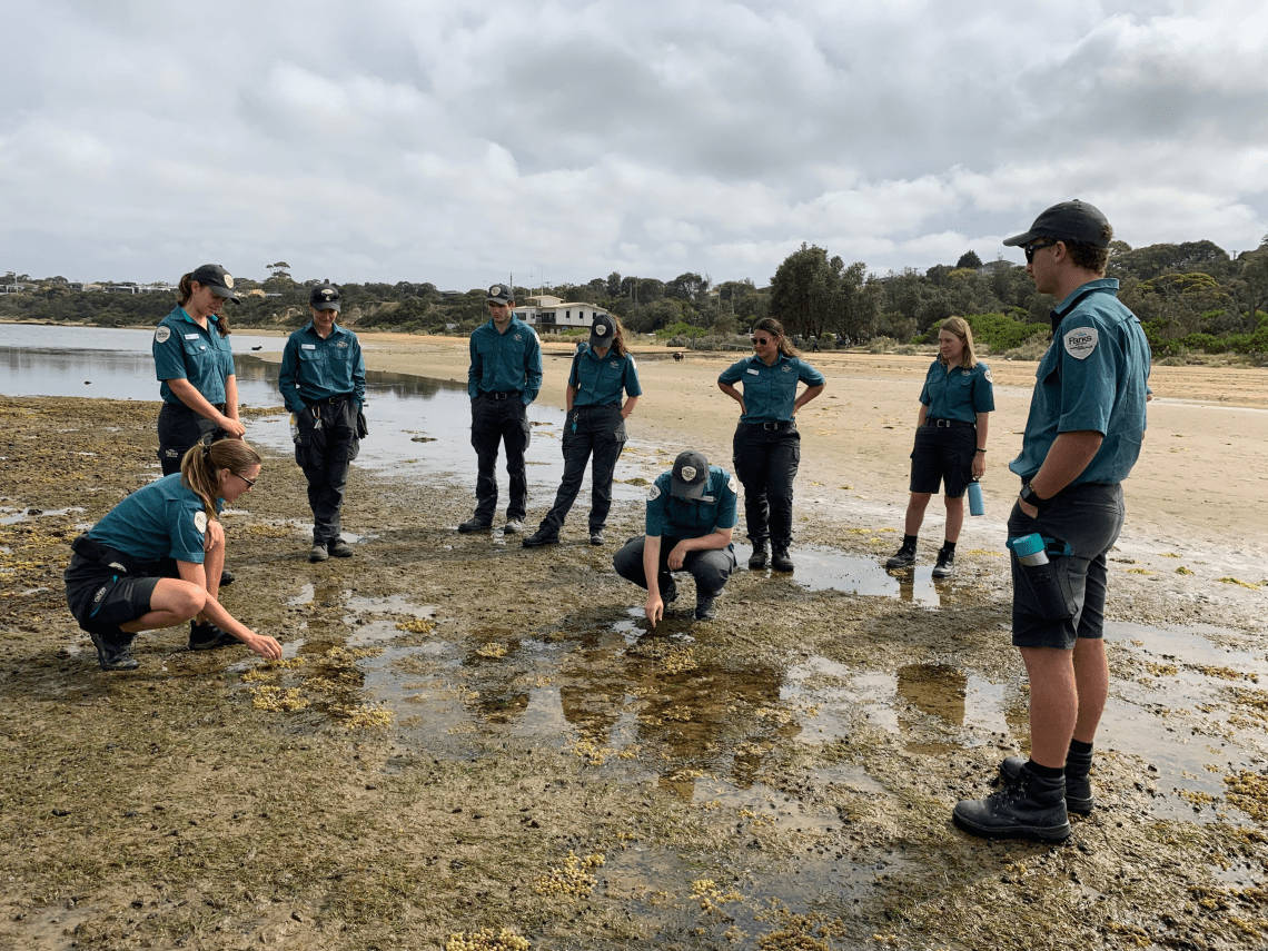 Rangers looking down at rockpool at Ricketts Point Marine Sanctuary