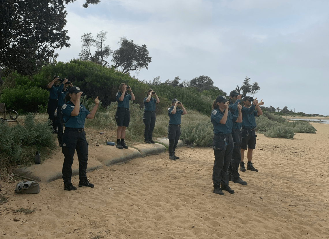 Eight rangers standing on beach, using binoculars to bird watch at Ricketts Point Marine Sanctuary