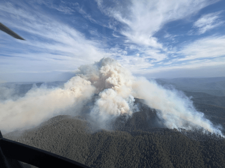 Image of the smoke billowing up from the Dargo Complex Fire