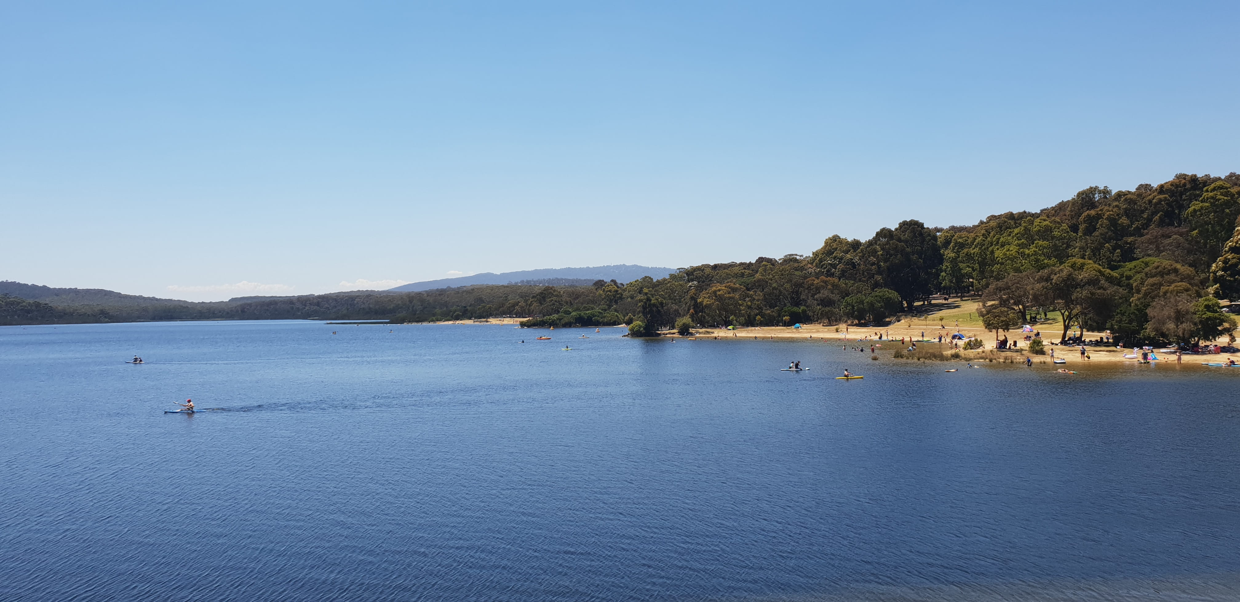 Picture of Lysterfield lake with families enjoying water activities and swimming at the beach