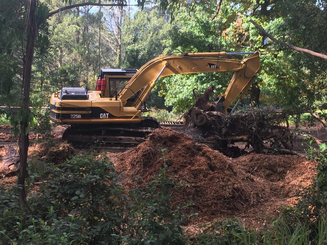 Storm recovery debris management - Mt Dandenong Arboretum - Dandenongs - May 2022